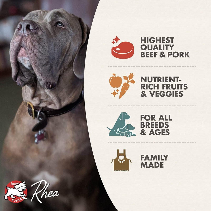 Fromm Four-Star Nutritionals Beef Frittata Veg Dog Food - Premium Dry Dog Food - Beef Recipe - 4 lb - Image 3